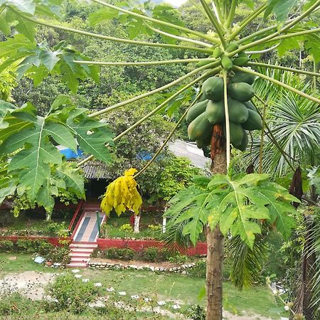 Entre Bosques Tayrona Villa Los Naranjos Szoba fotó