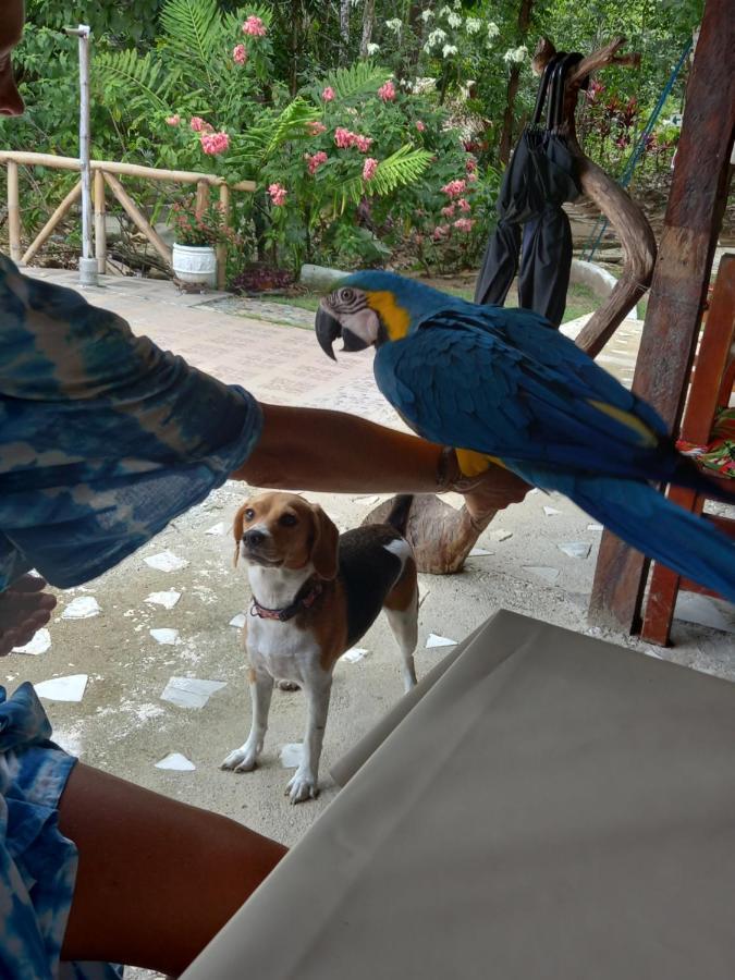 Entre Bosques Tayrona Villa Los Naranjos Kültér fotó
