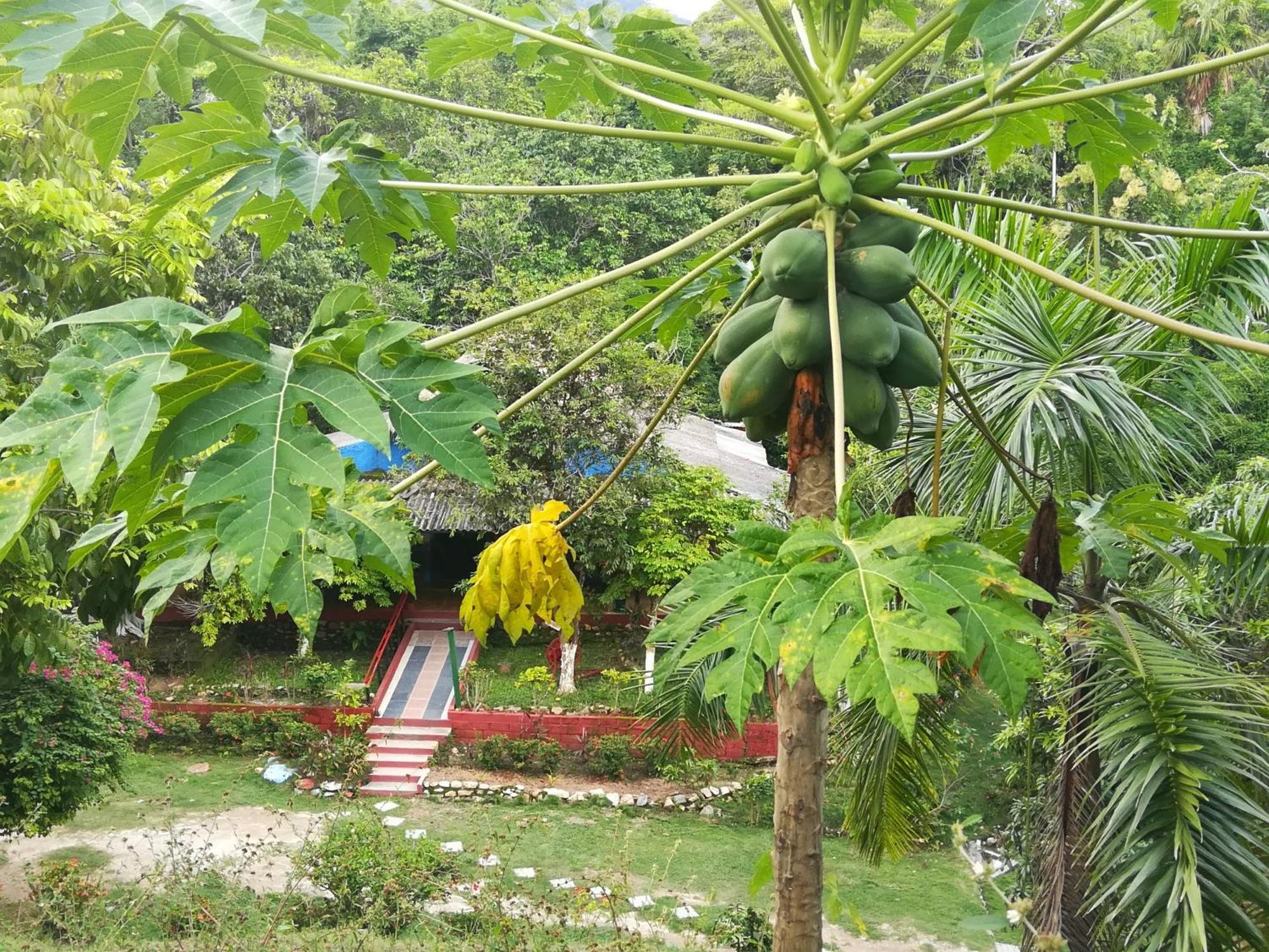 Entre Bosques Tayrona Villa Los Naranjos Szoba fotó