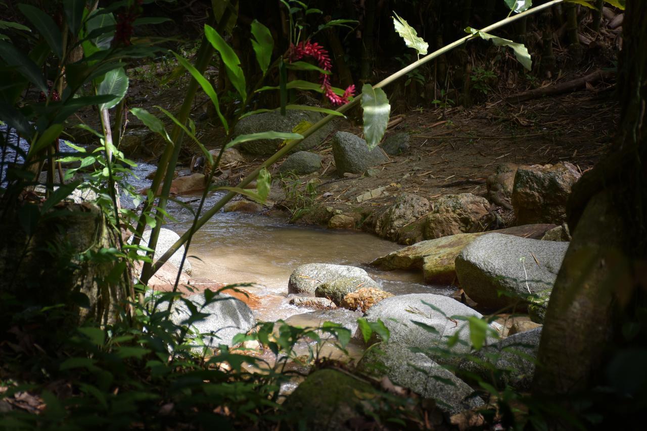 Entre Bosques Tayrona Villa Los Naranjos Kültér fotó